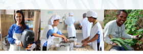 ILO: Philippine Employment Trends 2015: Decent jobs crucial for inclusive growth